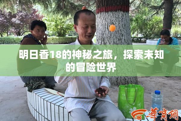 明日香18的神秘之旅，探索未知的冒险世界
