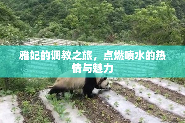 雅妃的调教之旅，点燃喷水的热情与魅力