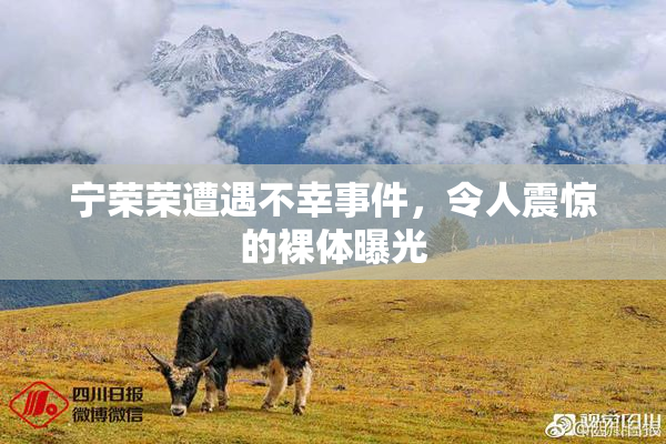 宁荣荣遭遇不幸事件，令人震惊的裸体曝光