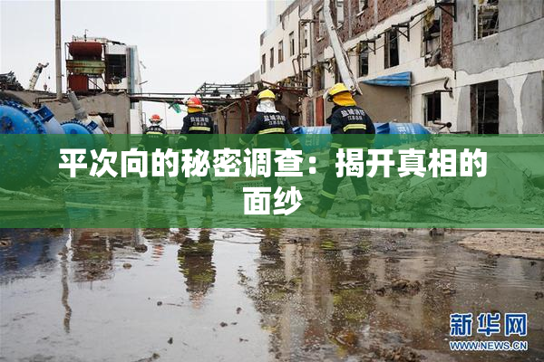 平次向的秘密调查：揭开真相的面纱