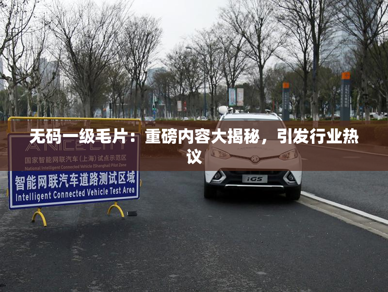 无码一级毛片：重磅内容大揭秘，引发行业热议