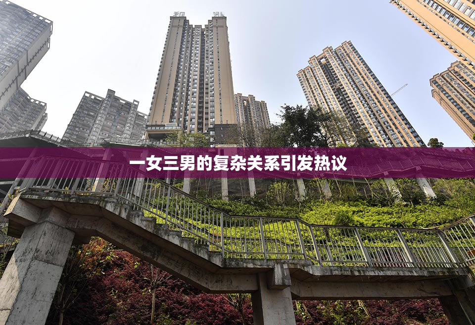 一女三男的复杂关系引发热议