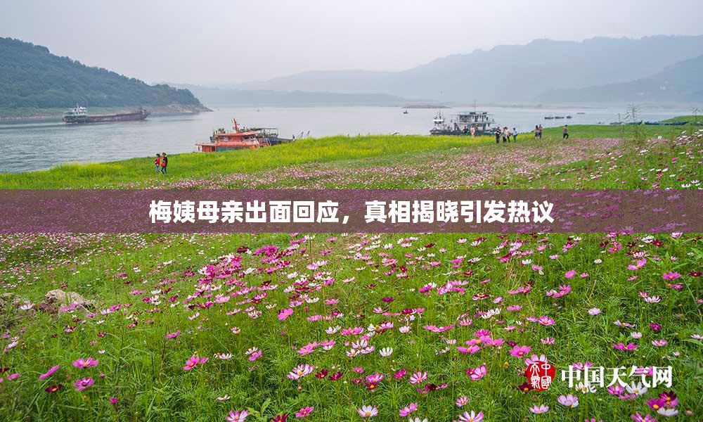 梅姨母亲出面回应，真相揭晓引发热议