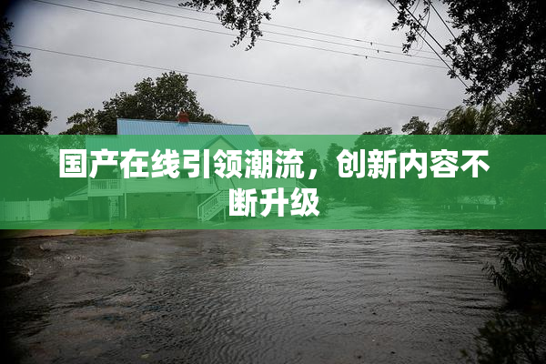 国产在线引领潮流，创新内容不断升级