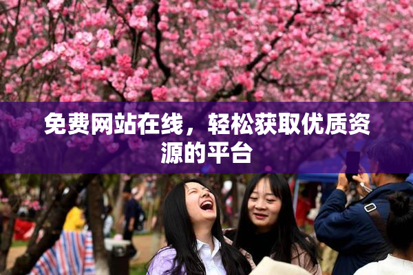 免费网站在线，轻松获取优质资源的平台