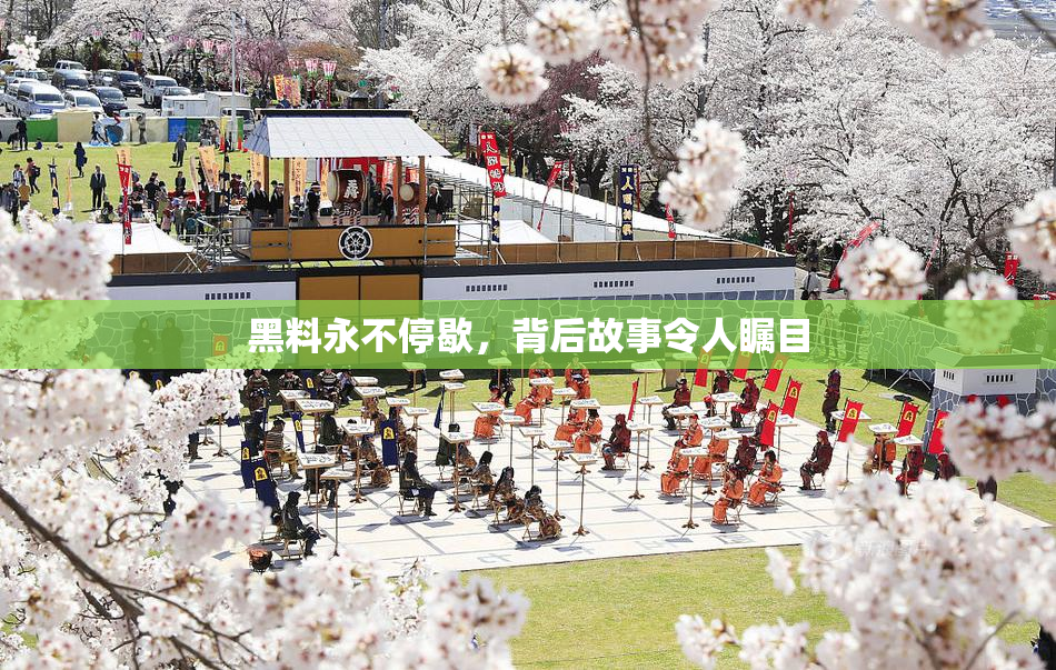 黑料永不停歇，背后故事令人瞩目