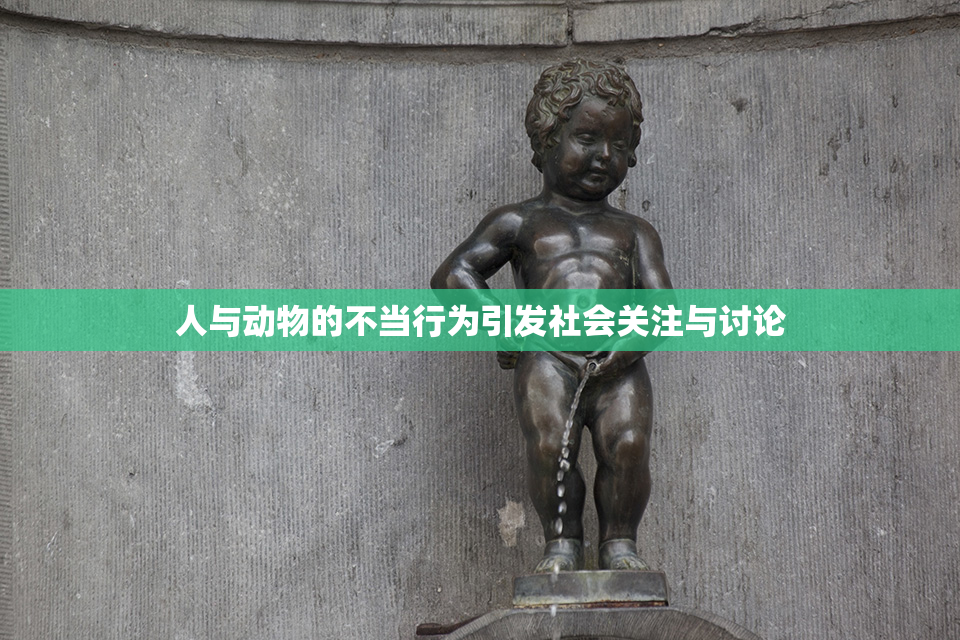 人与动物的不当行为引发社会关注与讨论