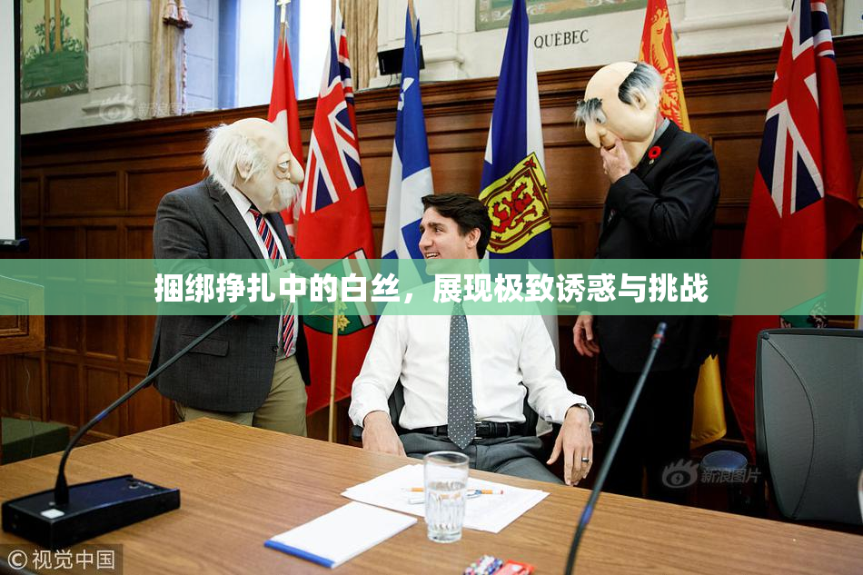 捆绑挣扎中的白丝，展现极致诱惑与挑战