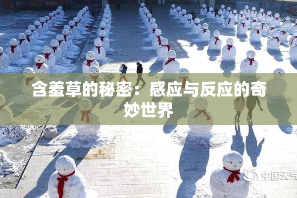 含羞草的秘密：感应与反应的奇妙世界