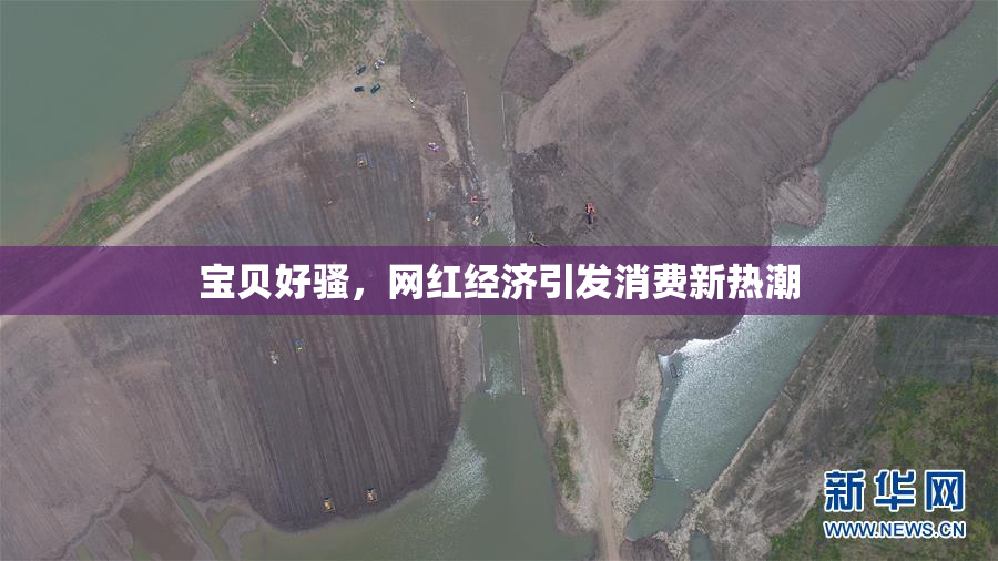 宝贝好骚，网红经济引发消费新热潮