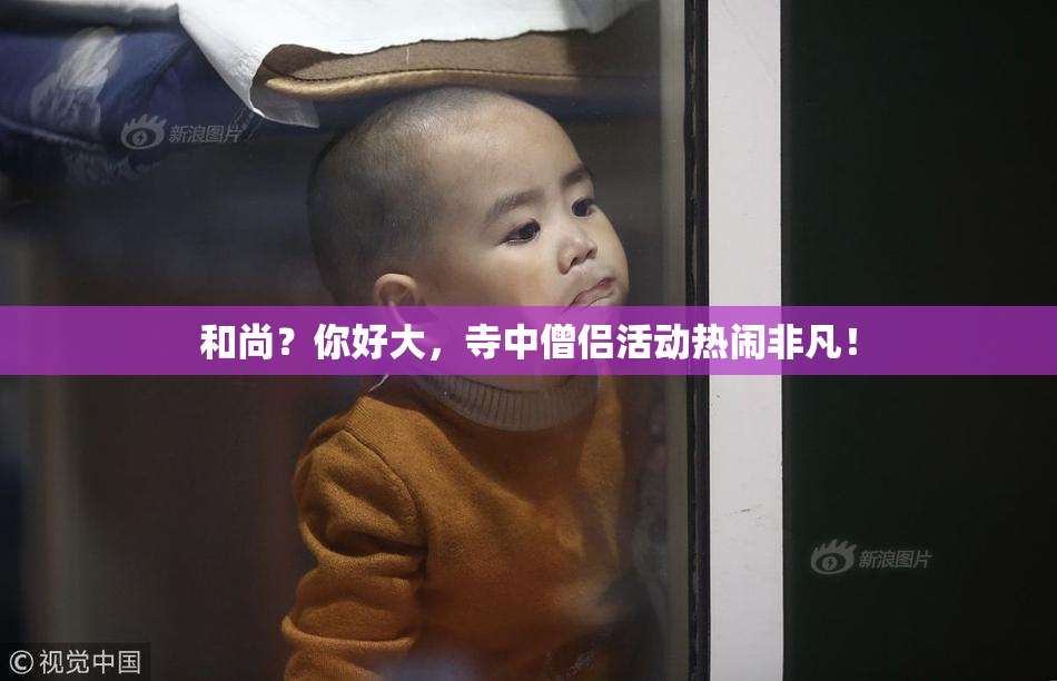 和尚？你好大，寺中僧侣活动热闹非凡！