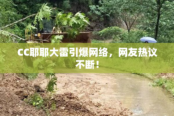 CC耶耶大雷引爆网络，网友热议不断！