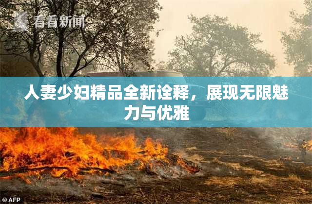 人妻少妇精品全新诠释，展现无限魅力与优雅