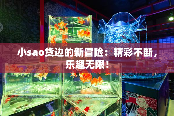 小sao货边的新冒险：精彩不断，乐趣无限！