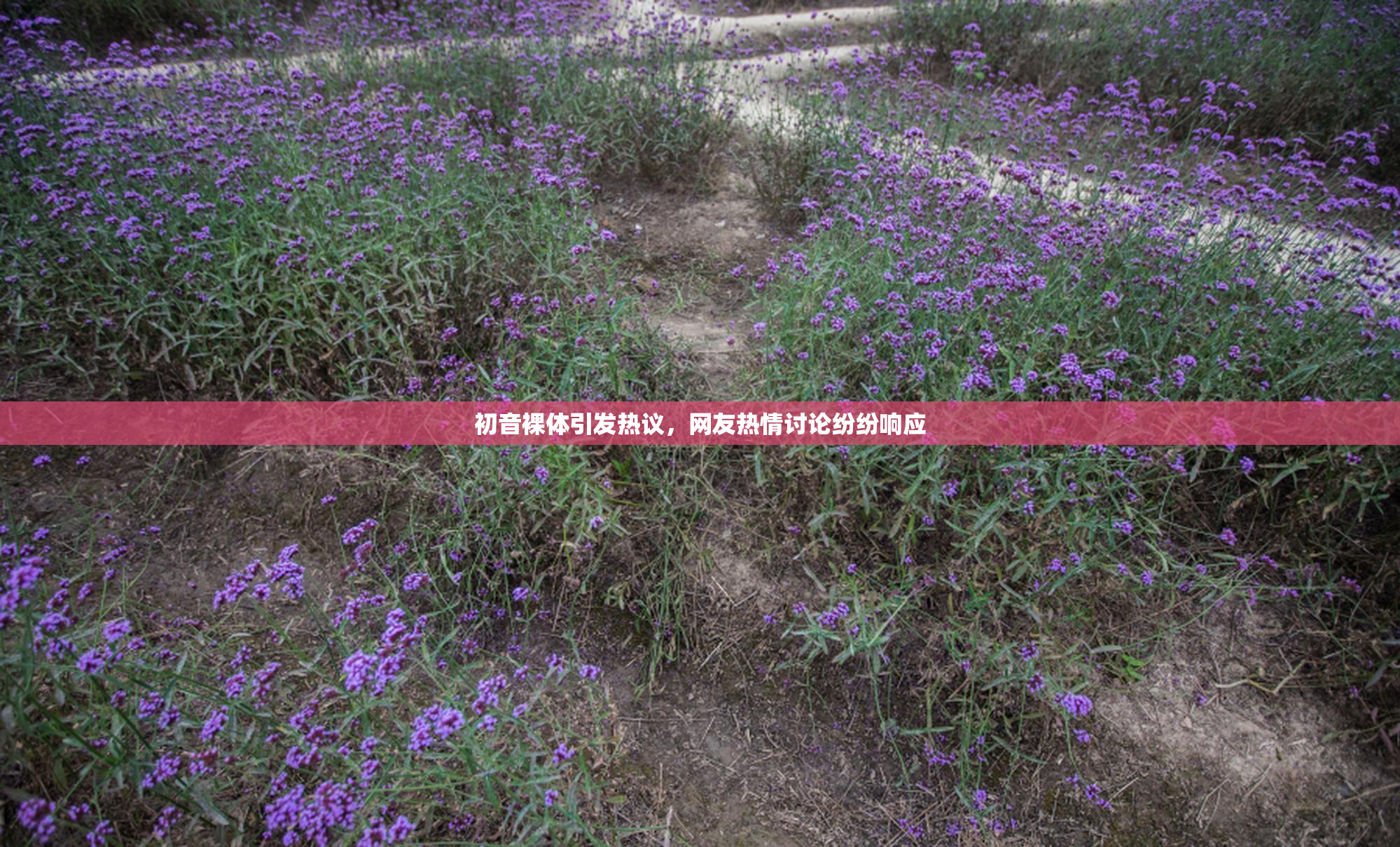 初音裸体引发热议，网友热情讨论纷纷响应