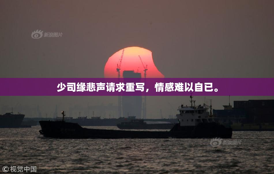 少司缘悲声请求重写，情感难以自已。