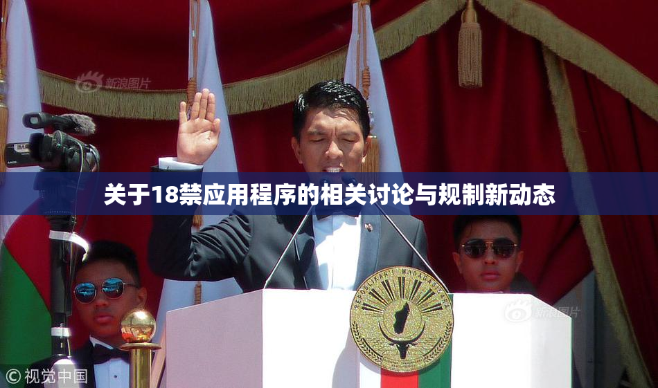 关于18禁应用程序的相关讨论与规制新动态