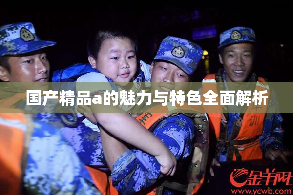 国产精品a的魅力与特色全面解析