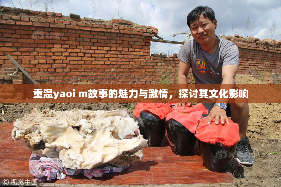 重温yaoi m故事的魅力与激情，探讨其文化影响