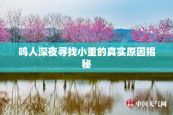 鸣人深夜寻找小重的真实原因揭秘