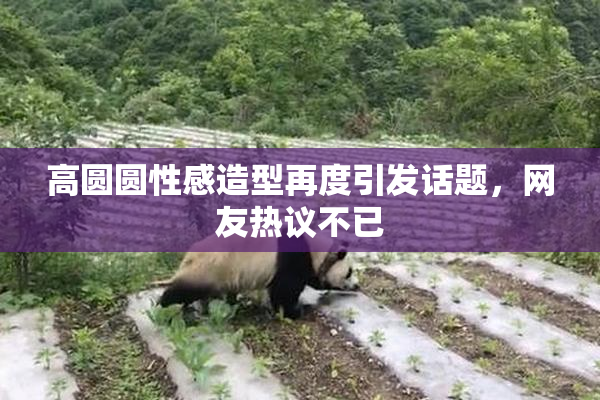 高圆圆性感造型再度引发话题，网友热议不已