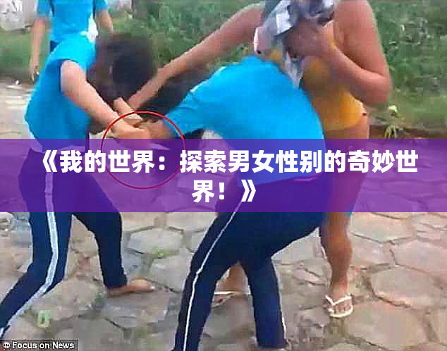 《我的世界：探索男女性别的奇妙世界！》