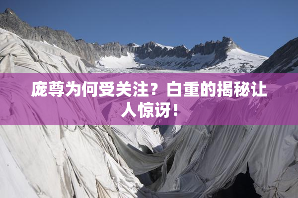 庞尊为何受关注？白重的揭秘让人惊讶！