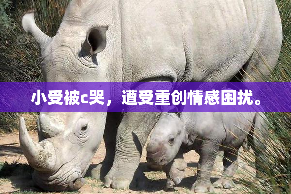 小受被c哭，遭受重创情感困扰。