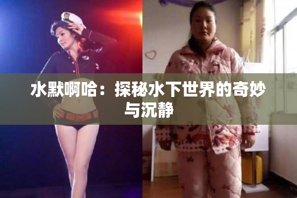 水默啊哈：探秘水下世界的奇妙与沉静