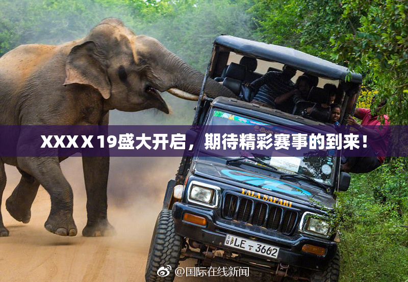 XXXⅩ19盛大开启，期待精彩赛事的到来！