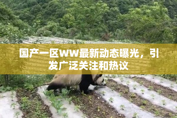 国产一区WW最新动态曝光，引发广泛关注和热议
