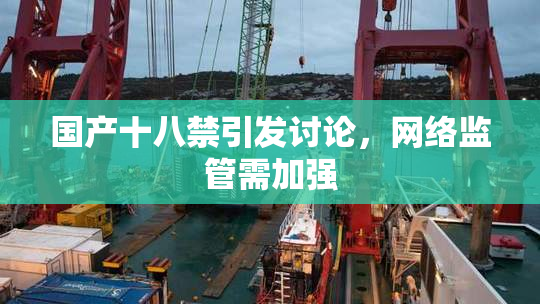 国产十八禁引发讨论，网络监管需加强