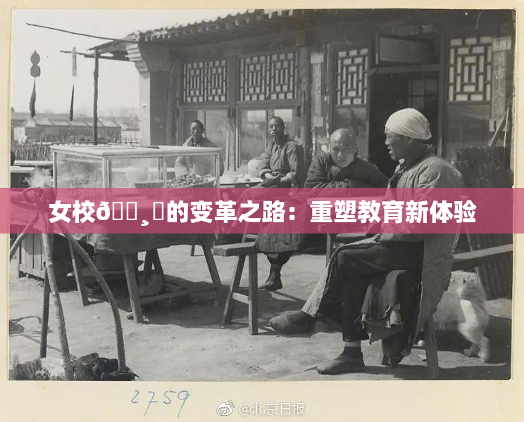 女校🌸‌的变革之路：重塑教育新体验