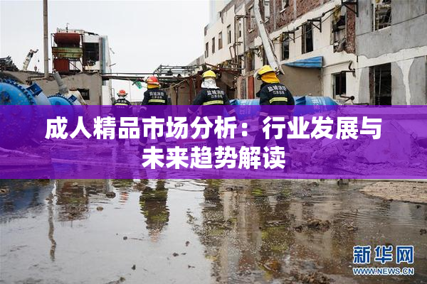成人精品市场分析：行业发展与未来趋势解读