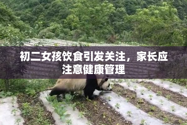初二女孩饮食引发关注，家长应注意健康管理