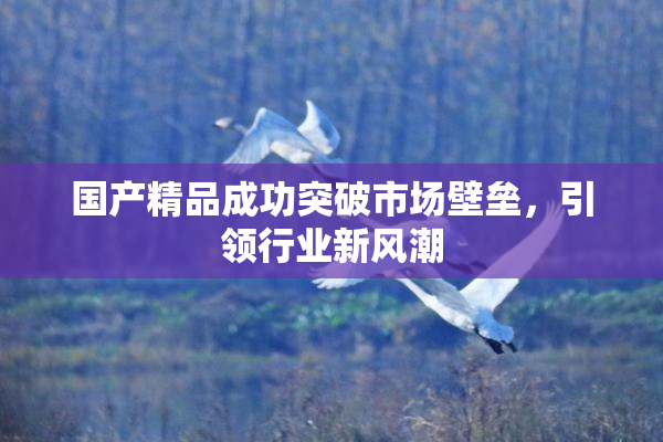 国产精品成功突破市场壁垒，引领行业新风潮