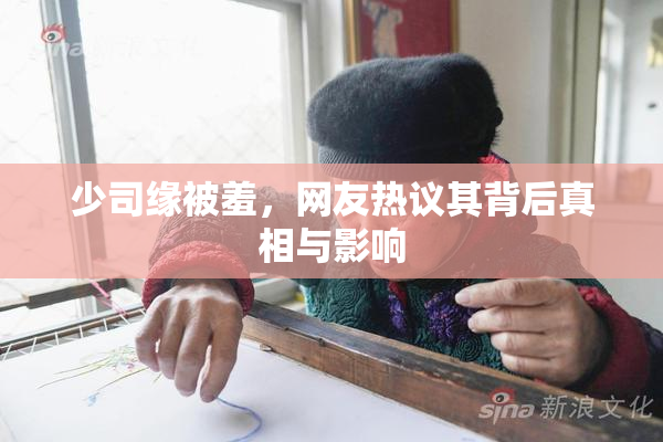 少司缘被羞，网友热议其背后真相与影响