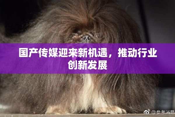 国产传媒迎来新机遇，推动行业创新发展