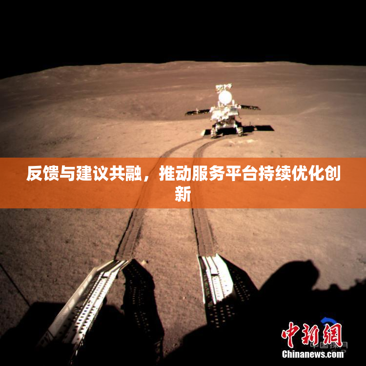 反馈与建议共融，推动服务平台持续优化创新