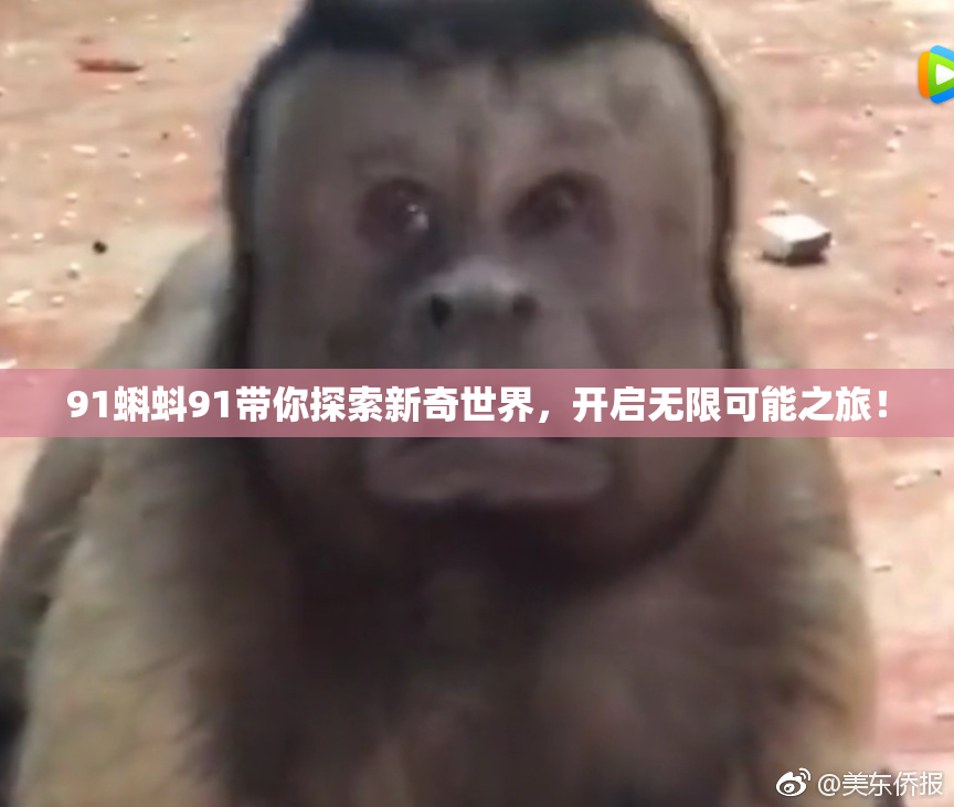 91蝌蚪91带你探索新奇世界，开启无限可能之旅！