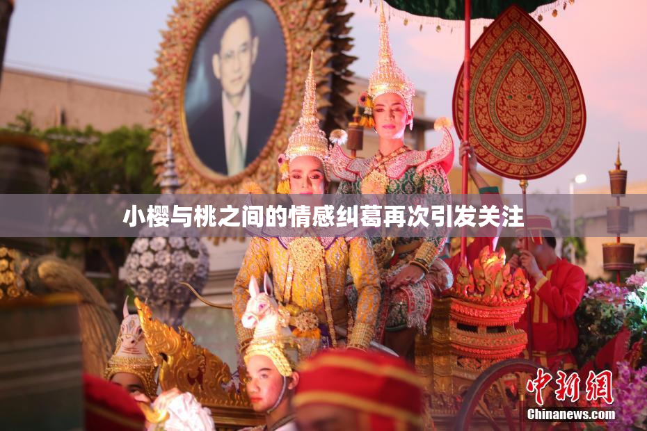 小樱与桃之间的情感纠葛再次引发关注