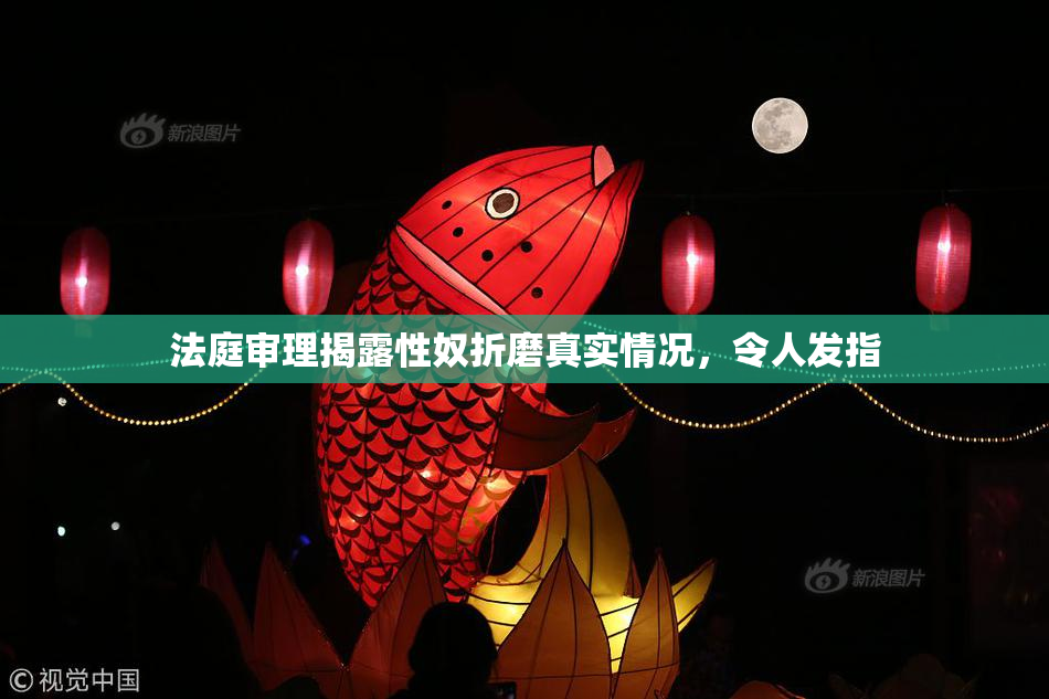法庭审理揭露性奴折磨真实情况，令人发指