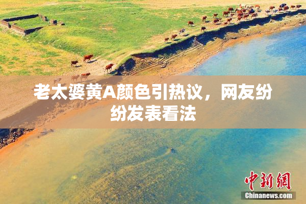 老太婆黄A颜色引热议，网友纷纷发表看法