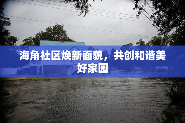 海角社区焕新面貌，共创和谐美好家园
