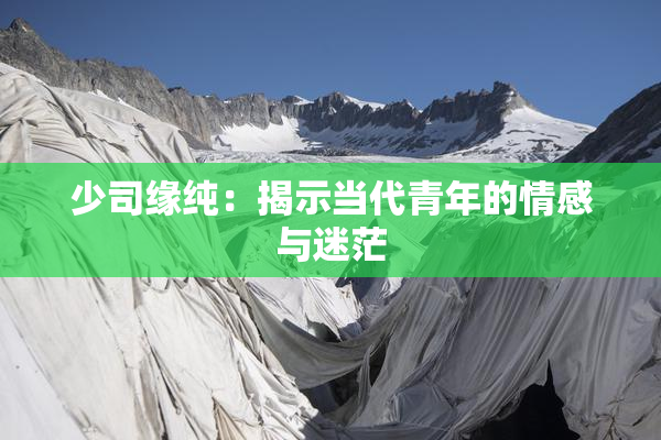 少司缘纯：揭示当代青年的情感与迷茫