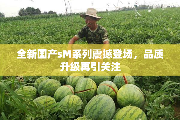 全新国产sM系列震撼登场，品质升级再引关注
