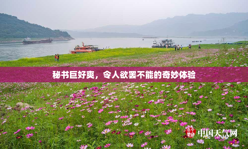 秘书巨好爽，令人欲罢不能的奇妙体验