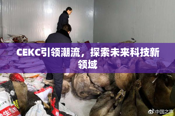 CEKC引领潮流，探索未来科技新领域