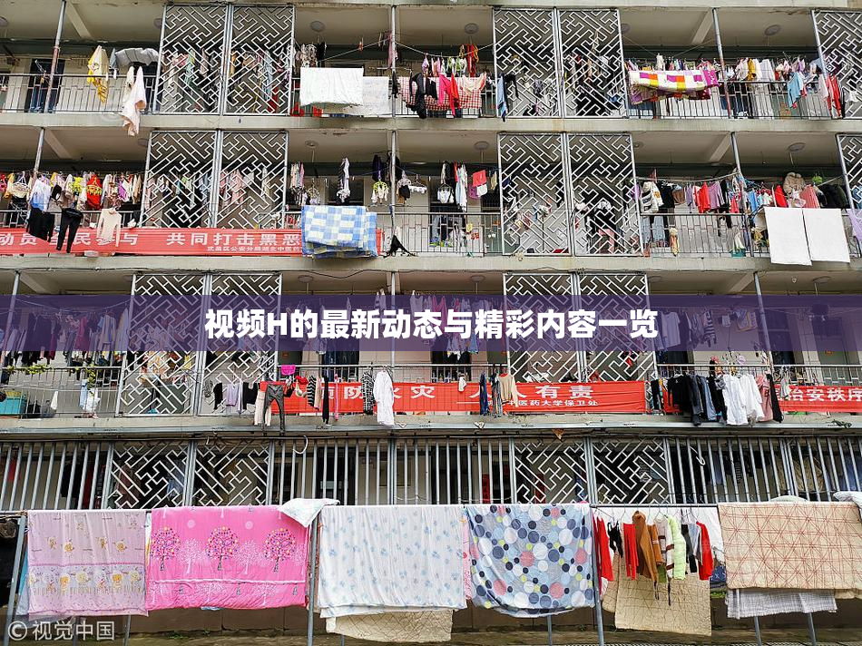 视频H的最新动态与精彩内容一览
