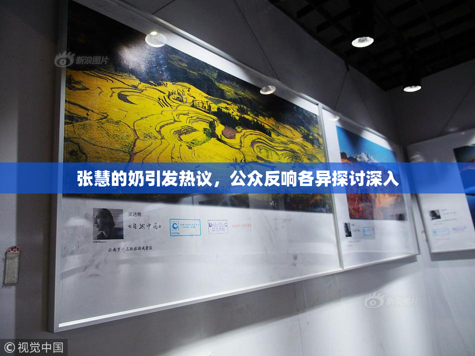 张慧的奶引发热议，公众反响各异探讨深入